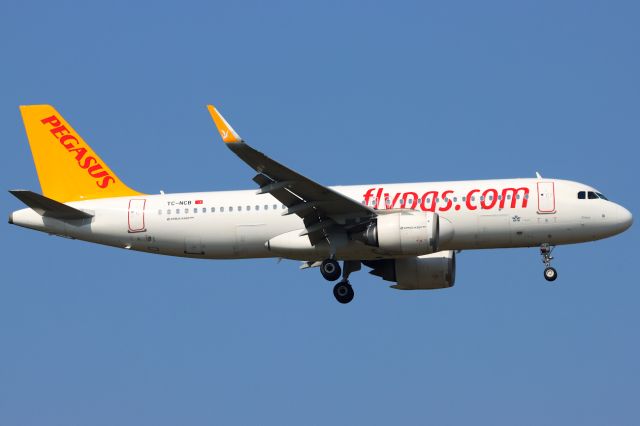 Airbus A320neo (TC-NCB)