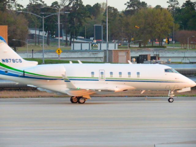 Robinson R-44 (N878CB) - 03/15/2025