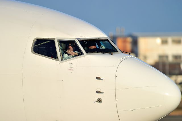 Boeing 737-800 (JA307J)