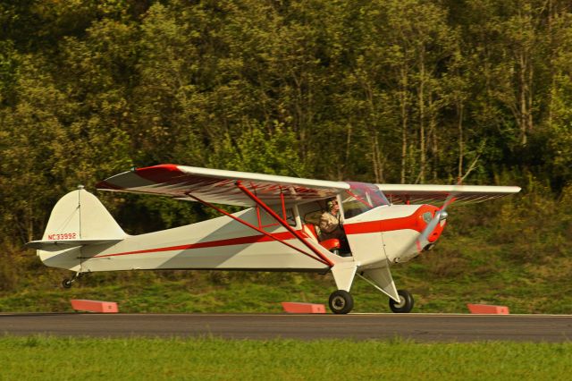 NC33992 — - Pilot/Owner Larry Grimm