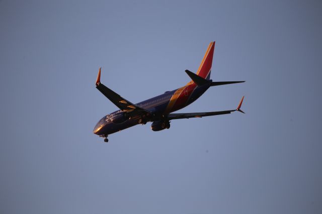 Boeing 737-800 (N8538V)