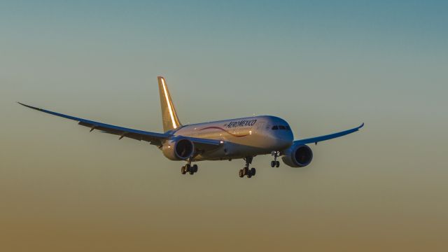 Boeing 787-8 (N961AM) - Boeing 787-8 Dreamliner (cn 35306)