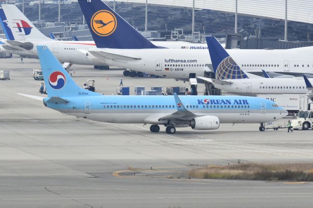 Boeing 737-800 (HL8244)