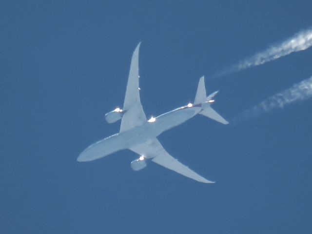 Boeing 787-8 (N815AA)