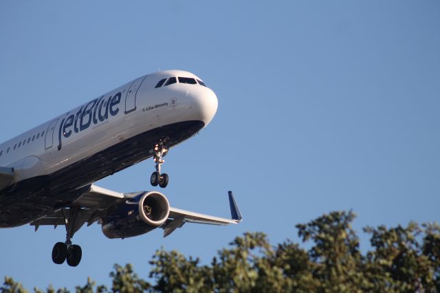 Airbus A321 (N945JT) - A Blue Mintality