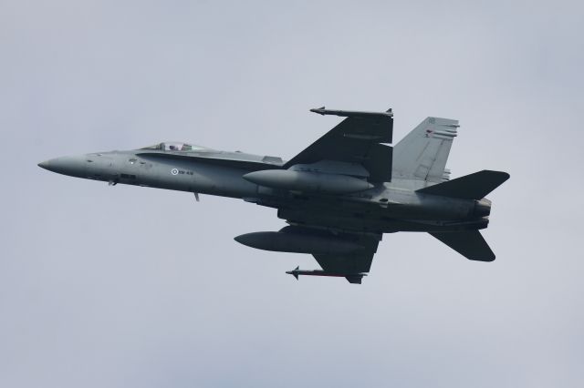 McDonnell Douglas FA-18 Hornet —