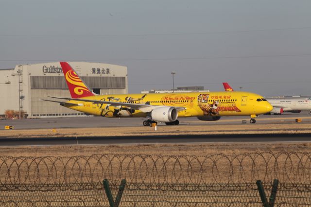 Boeing 787-9 Dreamliner (B-7302) - Hainan Airlines 's Kung fu panda livery