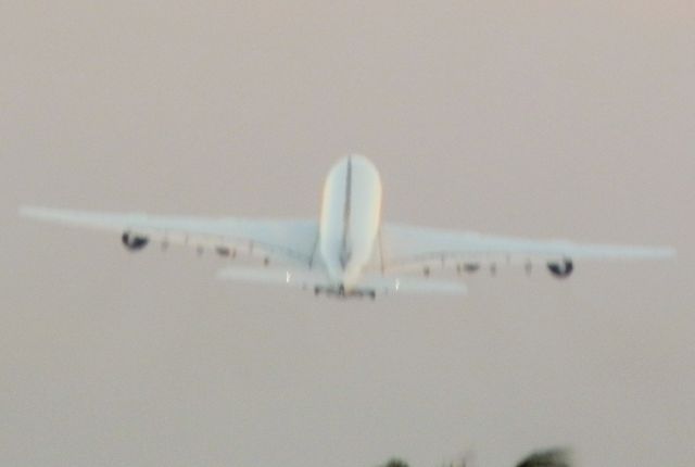 Airbus A380-800 (D-AIMF)