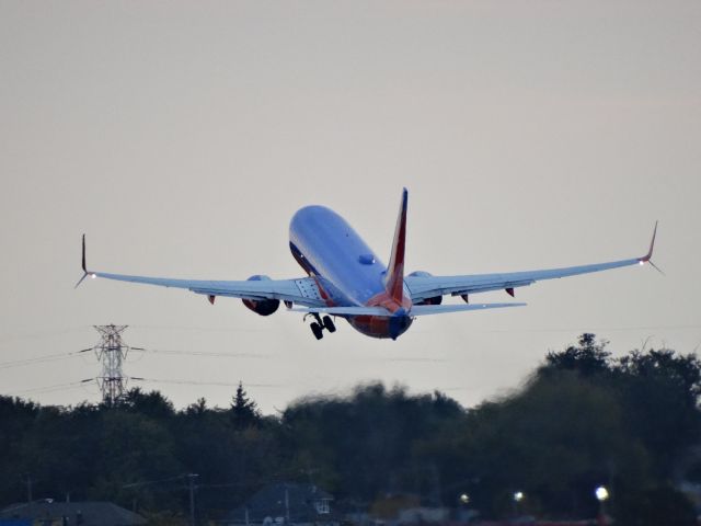 Boeing 737-800 (N8302F)