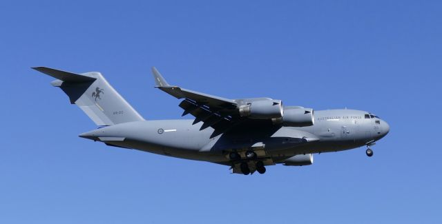 A41213 — - Viewed on the eastern approach to Royal New Zealand Air Force Base Auckland. Approx 250m from the threshold.