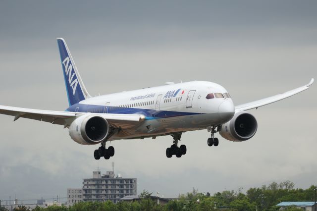 Boeing 787-8 (JA825A) - June 10th 2017:HND-HKD.