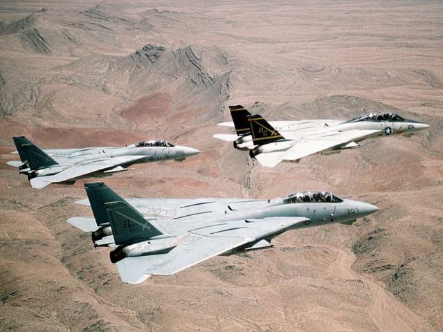 Grumman F-14 Tomcat —