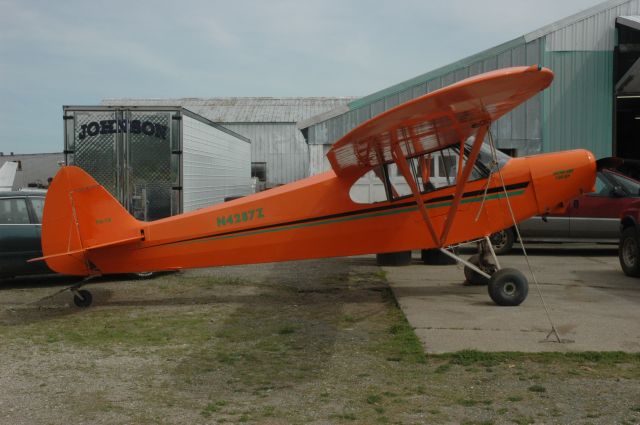 Piper L-21 Super Cub (N4287Z)