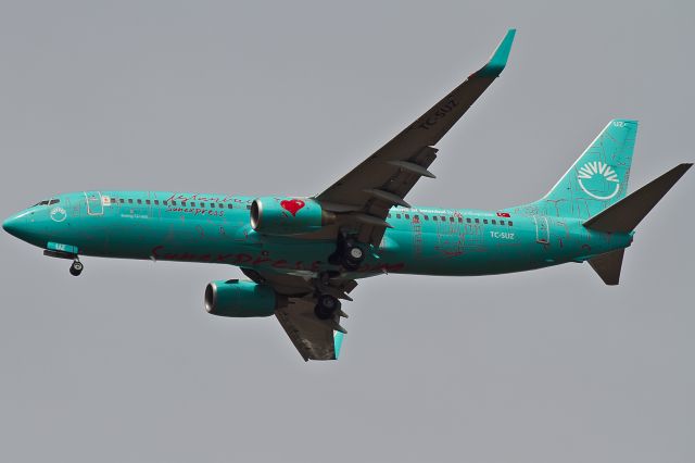 Boeing 737-800 (TC-SUZ)