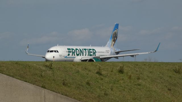 Airbus A320 (N361FR) - Wylie The Coati taking off from KBUF!