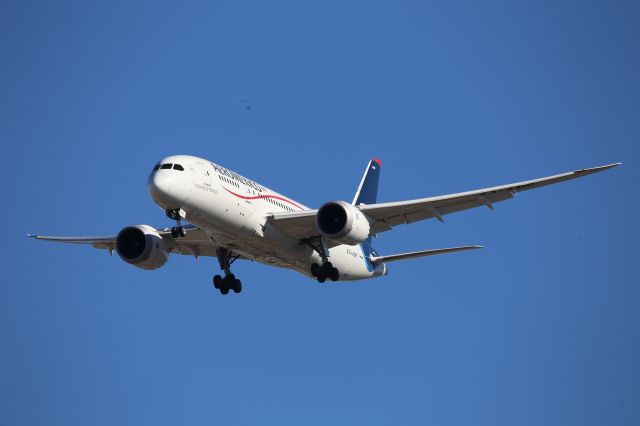 Boeing 787-8 (XA-AMR)