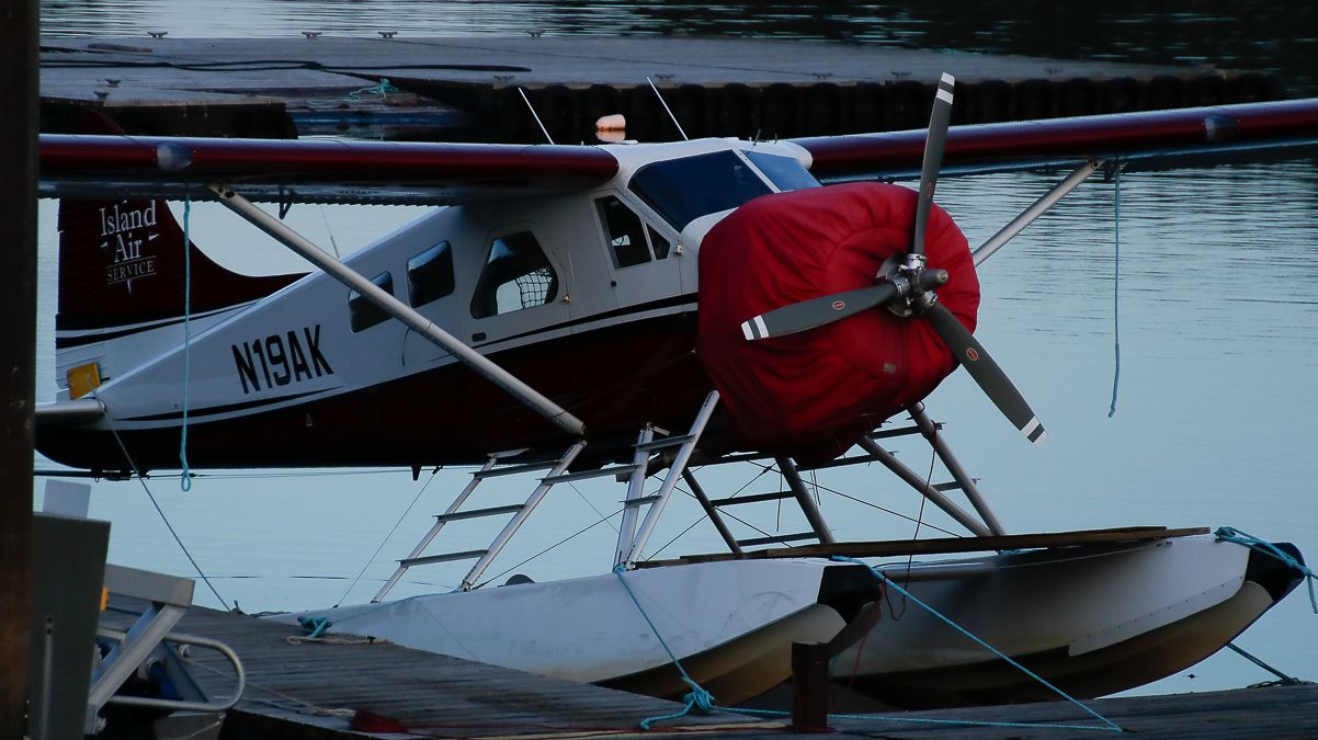 De Havilland Canada DHC-2 Mk1 Beaver (N19AK) - Resting at gate C1br /Reg: N19AKbr /MSN: 184br /Type: De Havilland Canada DHC-2 Beaver--DHC2--CN1br /Photo date: 11-11-24br /Upload date: 11-13-24