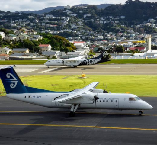 — — - At Wellington Airport in New Zealand. A old livery Air NZ Q300 waiting to take off while a present livery Q300 was landing 