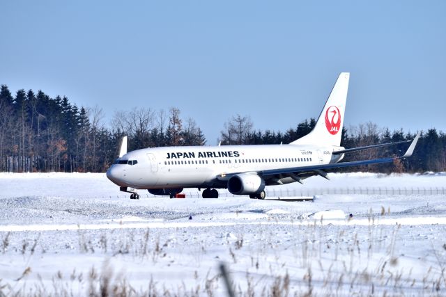 Boeing 737-800 (JA348J)