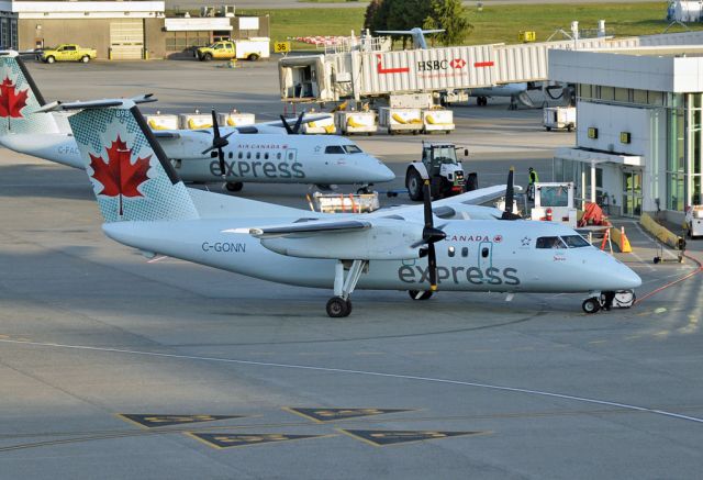 de Havilland Dash 8-100 (C-GONN)