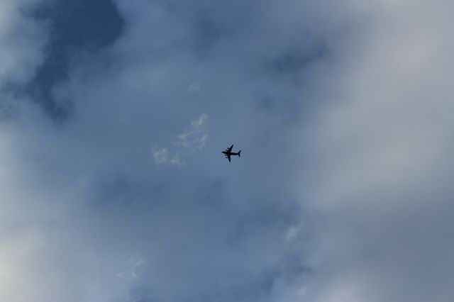 Boeing Globemaster III (EPIC41) - MATTHEWS, NC 05/06/2020 19:56br /REG: 00-0183, IACO: AE08E3br /ALT: 10,100, MPH: 362br /FROM KCLT TO COLUMBIA, SCbr /C-17A GLOBEMASTER III AIR MOBILITY COMMAND