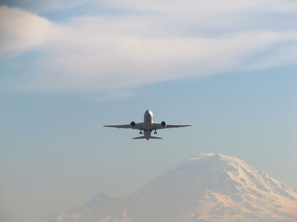 Boeing 787-8 (N787FT)