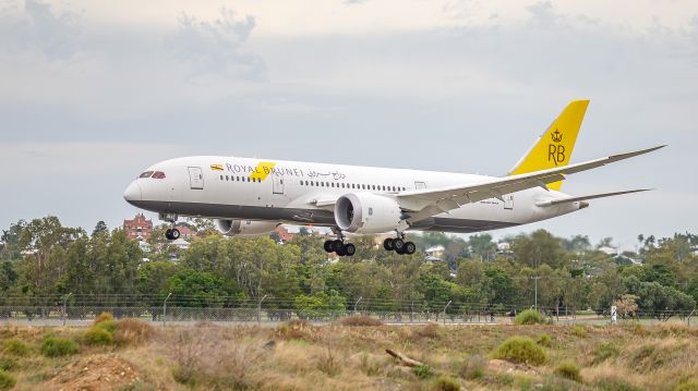 Boeing 787-8 (V8-DLE)
