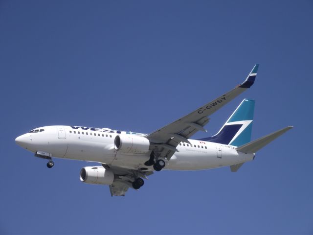 BOEING 737-600 (C-GWSV) - landing at yvr