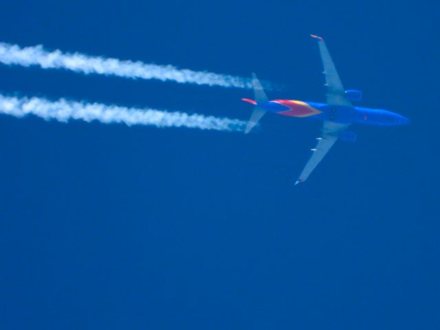 Boeing 737-800 (N8659D)