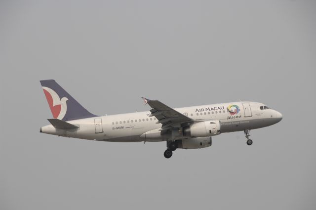 Airbus A319 (B-MAM) - Final Approach to Narita Intl Airport R/W16L on 2010/5/4