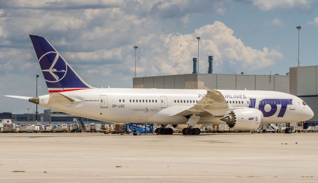 Boeing 787-8 (SP-LRC) - This LOT 788 sits in the infield cargo area after having collided with a Rouge 763 during taxi a couple of days earlier. The winglet of the Rouge plane sliced into the wingtip of the LOT plane. In this shot you can just see the blue material that has been stuffed into the sliced wingtip.