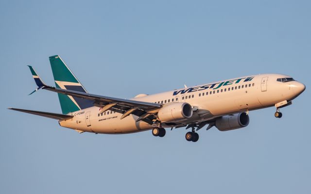 Boeing 737-800 (C-FDMB)