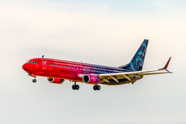 Boeing 737-900 (N493AS) - MOre to Love