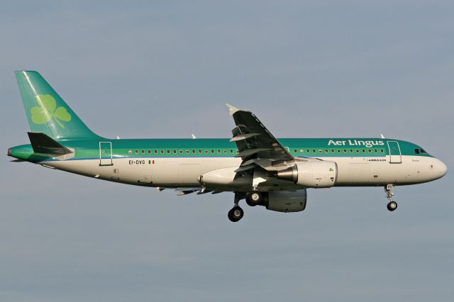 Airbus A320 (EI-DVG)