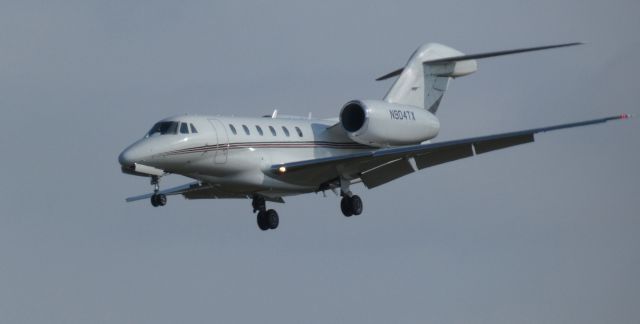 Cessna Citation X (N904TX) - On short final is this 2003 Cessna Citation 750 in the Winter of 2022.