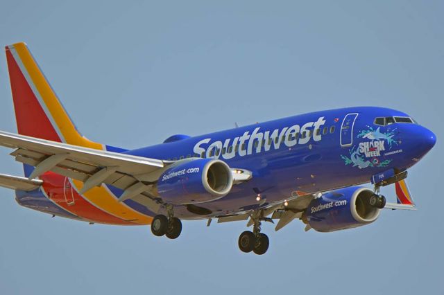Boeing 737-700 (N705SW) - Southwest Boeing 737-7H4(W) N705SW Shark Week Hammerhead at Phoenix Sky Harbor on August 9, 2018.