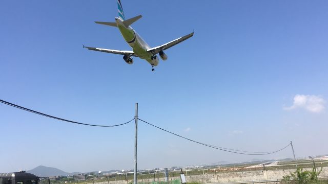 Airbus A320 (ABL8806) - 김포공항에서 착륙하는 비행기를 보다가 봤다.