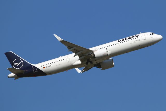 Airbus A321neo (D-AIED)