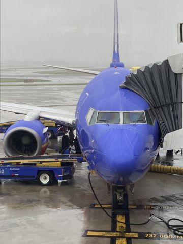 Boeing 737-700 (N263WN)