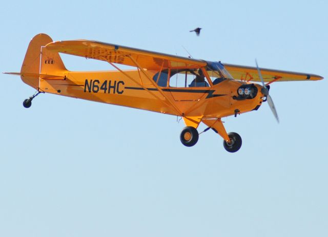 N64HC — - American Legend landing runway three-zero, Merced Regional Airport (KMCE)