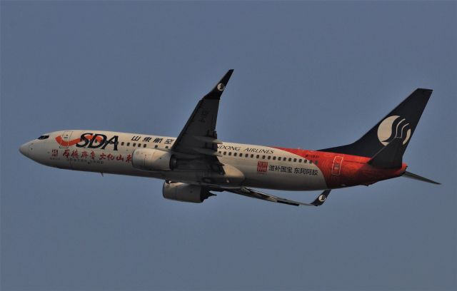 Boeing 737-800 (B-1931)