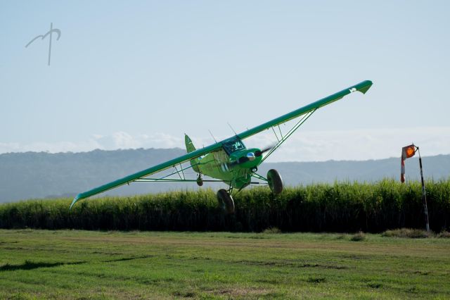 Piper L-21 Super Cub (TI-BEM)