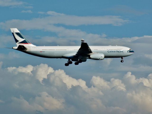 Airbus A330-300 (B-LAZ)