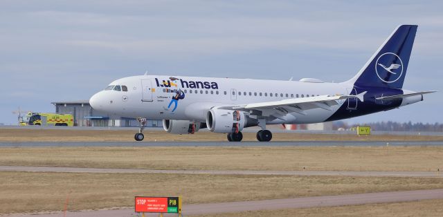 Airbus A319 (D-AILU) - Lufthansa (Lu Sticker)