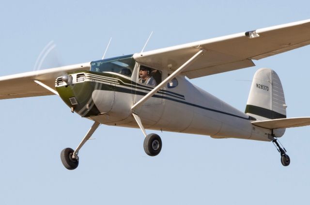 Cessna 140 (N2837D)