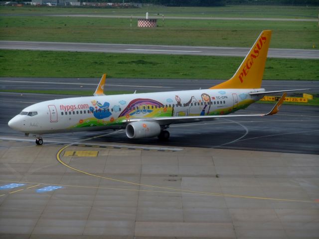 Boeing 737-800 (TC-CPN) - Pegasus B737-82R(WL) TC-CPN taxiing to the terminal after a good landing on rwy 23L DUS airport. Look this very nice painting, its an advertising for Istanbul. Under the cockpit, there is the signing of the child artist. It remembers a little to the Condor "peanuts" painting. Seen on 12th september 2015.