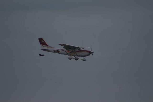 Cessna Skylane (N15MV)