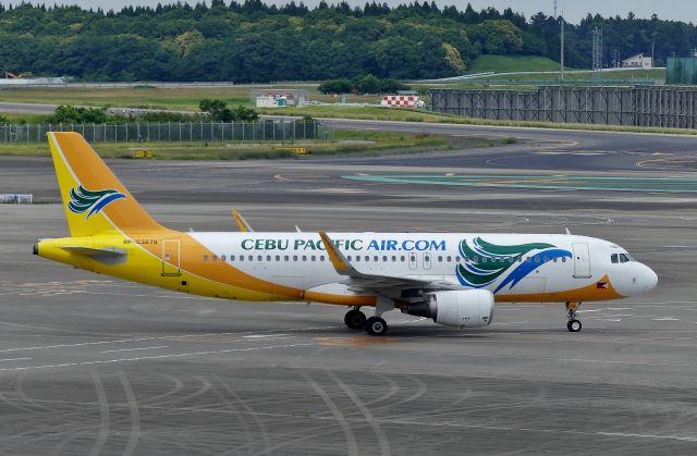 Airbus A320 (RP-C3279) - Tokyo-Narita(NRT) 2018/06/05