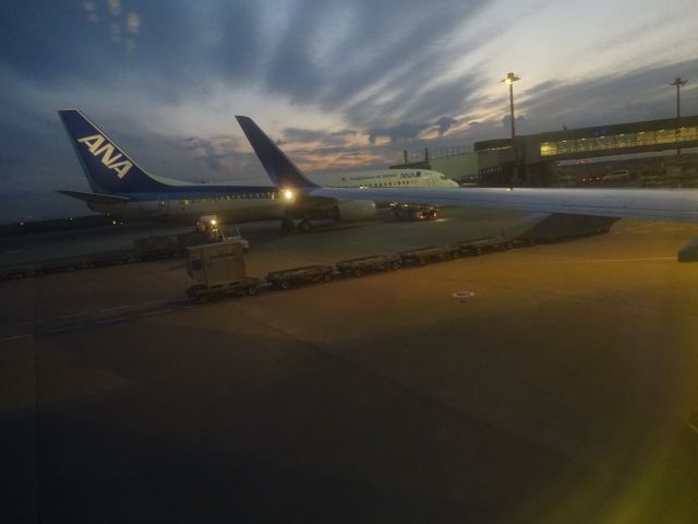 Boeing 737-800 (JA53AN) - 羽田空港の早朝です