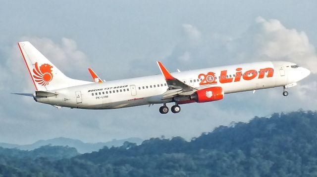 Boeing 737-800 (PK-LHM)